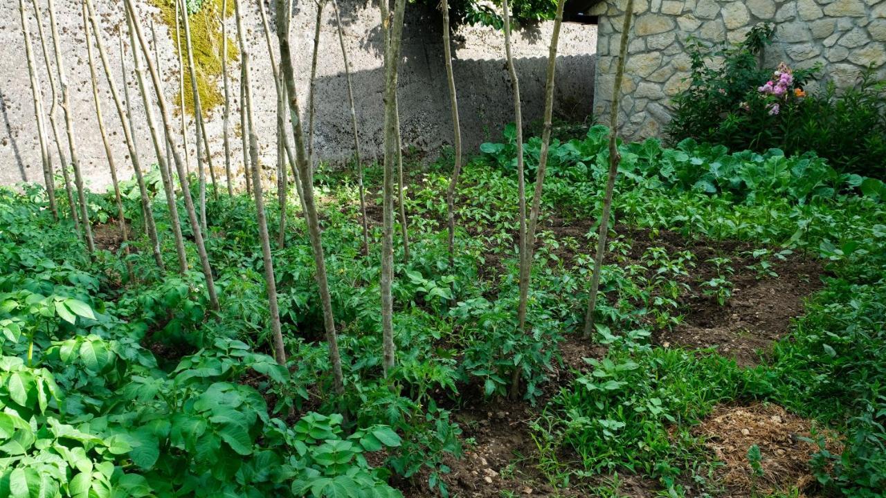 Prevalis Nature Cottage Virpazar Dış mekan fotoğraf