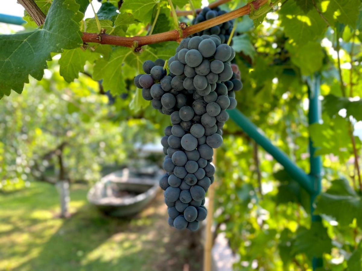 Prevalis Nature Cottage Virpazar Dış mekan fotoğraf
