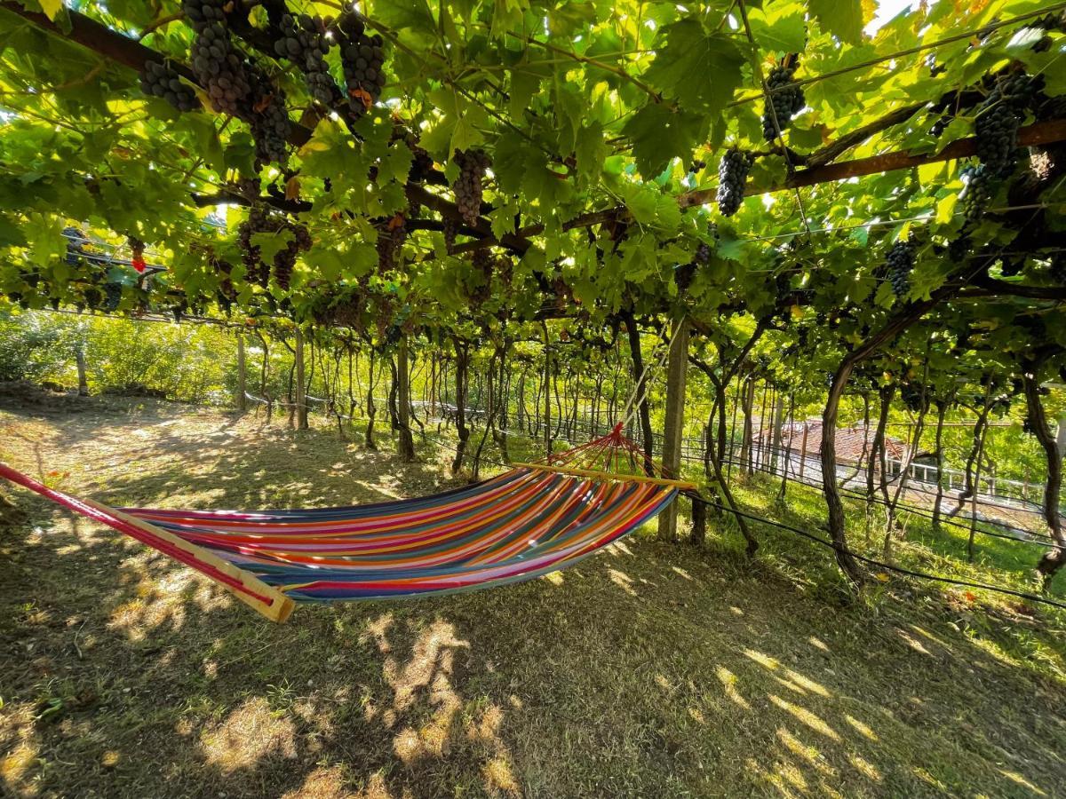 Prevalis Nature Cottage Virpazar Dış mekan fotoğraf