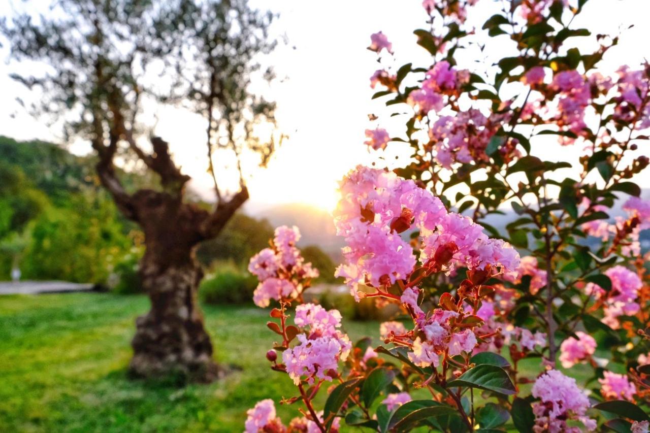 Prevalis Nature Cottage Virpazar Dış mekan fotoğraf
